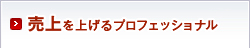 売上を上げるプロフェッショナル
