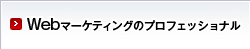 Webマーケティングのプロフェッショナル