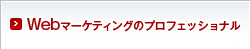Webマーケティングのプロフェッショナル