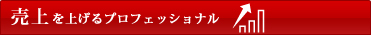 売上を上げるプロフェッショナル